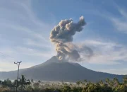 Erupsi Lagi Pagi Ini, Gunung Lewotobi Laki-Laki Semburkan ABU Vulkanik 1.600 Meter!
