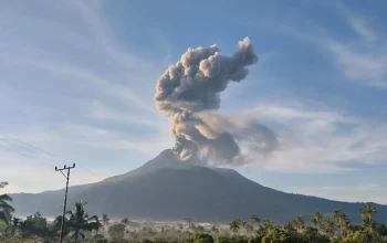 Gunung Lewotobi Laki-Laki meletus dan menyemburkan kolom abu vulkanik setinggi 1.600 meter