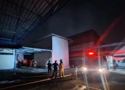 Dilalap Si Jago Merah, Damkar Kerahkan 185 Personel Kebakaran Kebayoran Lama!