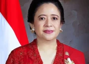 SD Negeri Sepi Murid Di Sorot Puan Maharani, Pemerintah Harus Lakukan Evaluasi Layanan Pendidikan!