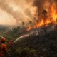 Para nelayan Natuna terpaksa berhenti melaut karena kabut asap pekat akibat karhutla