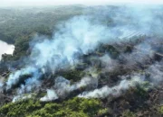 Karhutla Di Kalimantan Semakin Parah, Komisi IV DPR RI: Segera Jadi Prioritas Nasional!