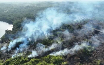 Kebakaran hutan dan lahan di Kalimantan semakin parah, Komisi IV DPR RI minta jadi prioritas nasional