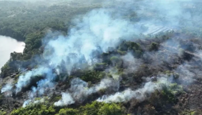 Karhutla Di Kalimantan Semakin Parah, Komisi IV DPR RI: Segera Jadi Prioritas Nasional!