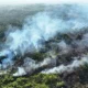 Kebakaran hutan dan lahan di Kalimantan semakin parah, Komisi IV DPR RI minta jadi prioritas nasional