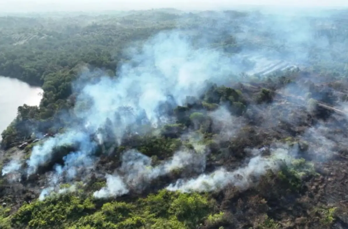 Kebakaran hutan dan lahan di Kalimantan semakin parah, Komisi IV DPR RI minta jadi prioritas nasional