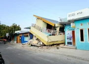 Gempa Susulan di NTT, BMKG Catat Jumlahnya Mencapai 1.598!