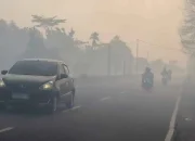Akibat Karhutla Kasus ISPA Melonjak, Kemenkes Sebut Lebih 3 Juta Warga RI Terpapar Asap!