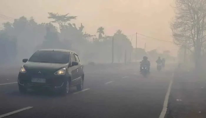 Akibat Karhutla Kasus ISPA Melonjak, Kemenkes Sebut Lebih 3 Juta Warga RI Terpapar Asap!