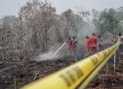 72 Pelaku Karhutla Di Kalimantan dan Sumatera Diamankan, Presiden Prabowo Minta Ditindak Tegas!