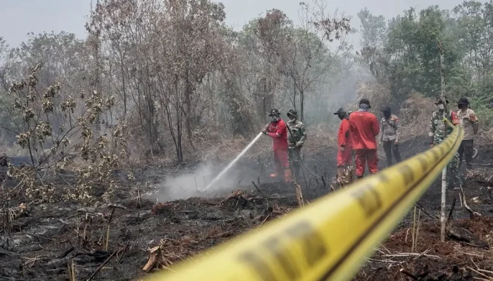 72 Pelaku Karhutla Di Kalimantan dan Sumatera Diamankan, Presiden Prabowo Minta Ditindak Tegas!