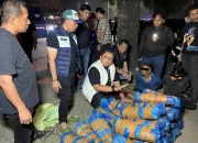 Dua Tersangka Pengedaran Ganja Sebanyak 93 Kg Di Medan Diringkus Polisi!