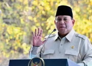 Cek Pengungsi dan Penanganan Gempa, Presiden Prabowo Akan Melakukan Kunjungan Ke NTT!