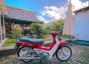 Mengenal Yamaha Alfa, Motor Bebek 2-Tak Legendaris yang Jadi Cikal Bakal Kesuksesan Force 1