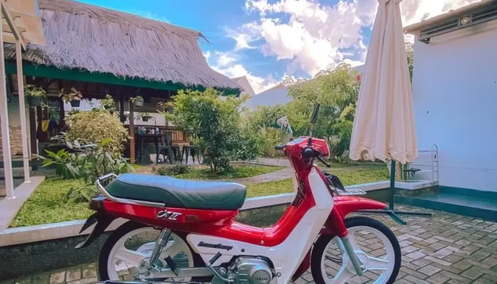 Mengenal Yamaha Alfa, Motor Bebek 2-Tak Legendaris yang Jadi Cikal Bakal Kesuksesan Force 1