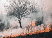 14 Daerah Di Sumut Diselimuti Asap Karhutla, Skema PJJ Disiapkan!