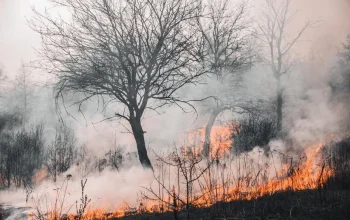 Pemandangan kabut asap tebal yang menyelimuti kawasan permukiman dan jalan raya di Sumatera Utara