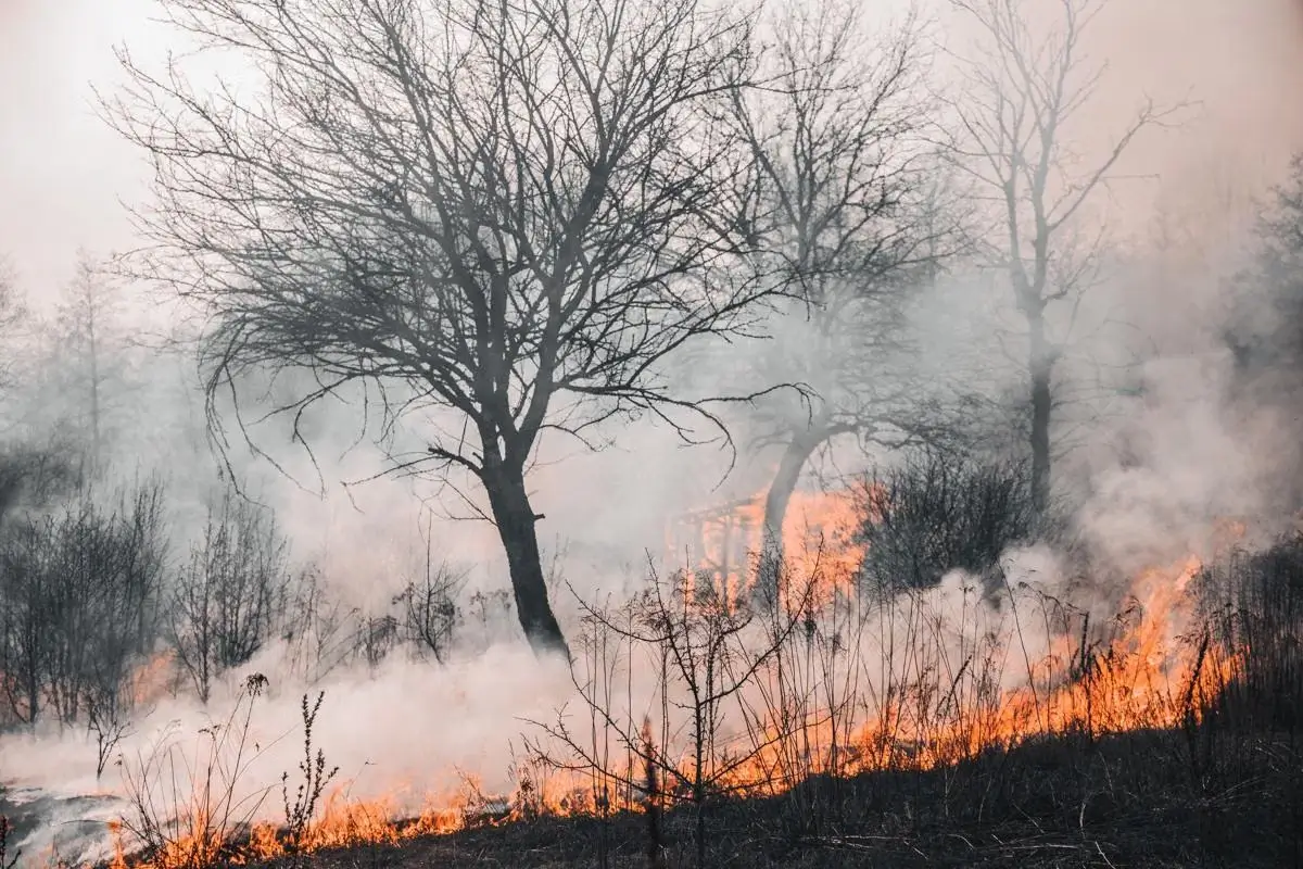 Pemandangan kabut asap tebal yang menyelimuti kawasan permukiman dan jalan raya di Sumatera Utara