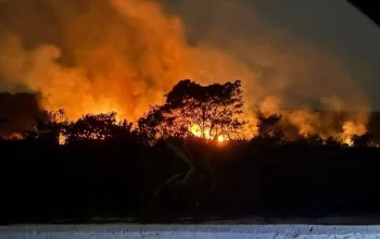 Ilustrasi kebakaran hutan dan lahan yang melanda wilayah Kalimantan dan Sumatera